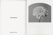 Vintage Scan Borders And Textures⸻3, a Texture Graphic by Studio Viita (Thumbnail 3 of 11)