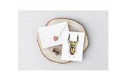 Watercolor Clipart Beetle Insect art, a Decorative Illustration by NKTKNS (Thumbnail 7 of 7)