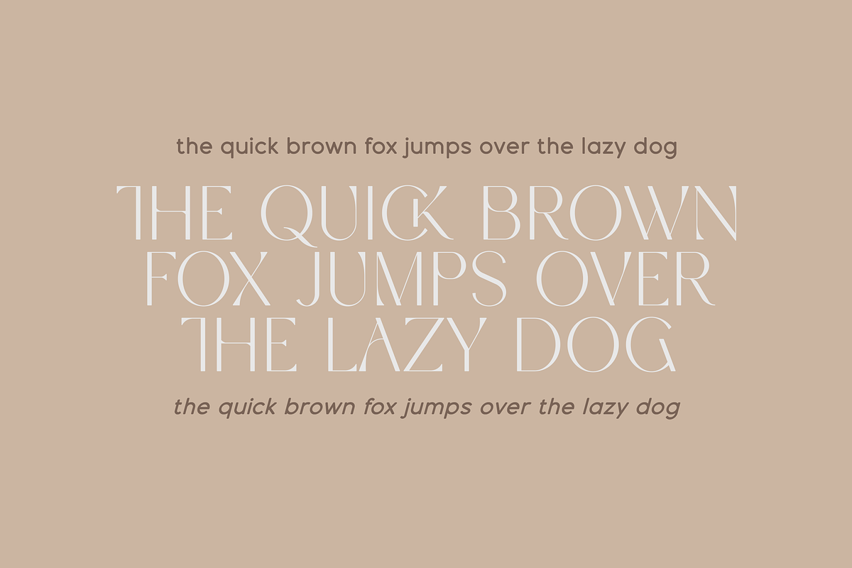 Espial typeface - 36 fonts, a Sans Serif Font by VP Fonts (Photo 2 of 22)