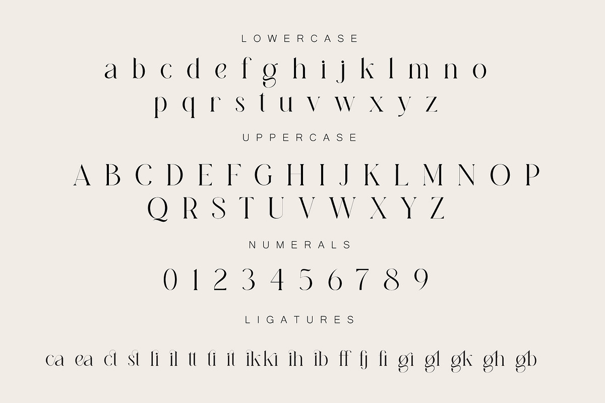 Diastema – Modern Ligature Typeface, a Serif Font by Issam Type (Photo 10 of 14)