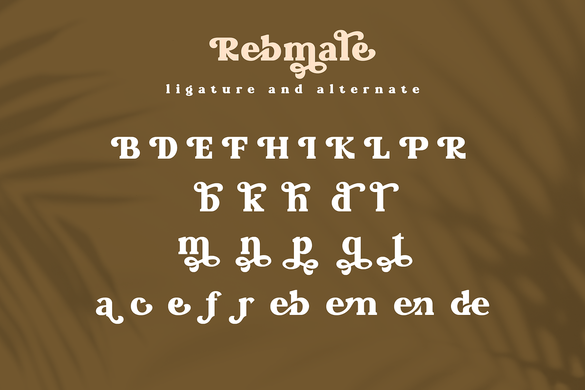Rebmale Modern Serif, a Serif Font by Moodtype (Photo 7 of 7)