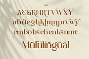 Abstain Ligature Luxury Serif, a Serif Font by Luna Shop (Thumbnail 2 of 9)