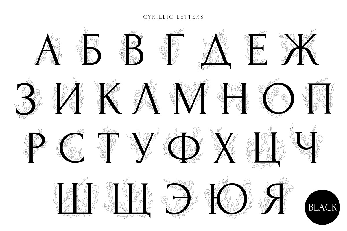 Mattiola font Floral illustrations, a Symbol Font by Alice_Evans (Photo 3 of 11)