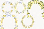 Lemon Garden Collection, a Seasonal Illustration by AlenaVlasko stock Market (Thumbnail 6 of 10)