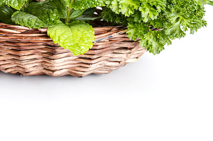 Herbs in pot stock photo containing pot and spices preview 6