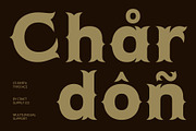 CS Berta – Tuscan Font, a Serif Font by Craft Supply Co. (Thumbnail 5 of 8)