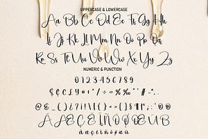 Dripping Script Font