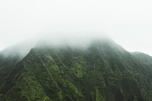 Hawaiian fog containing will, rust, and travel