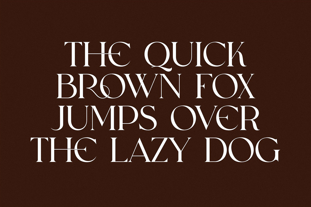 CHOASE Modern Ligature Serif, a Serif Font by Alfinart (Photo 4 of 9)