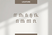 Reyka - Stylish Display Serif, a Serif Font by Hakara Type (Thumbnail 7 of 9)