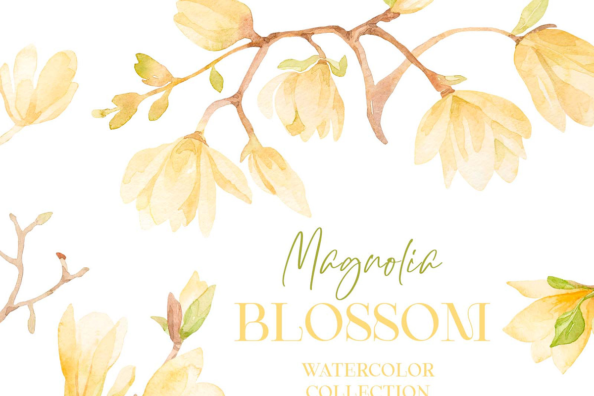 Magnolia blossom watercolor, a Decorative Illustration by My Wondercolor (Photo 1 of 6)
