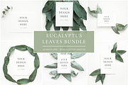 The Eucalyptus Leaves Bundle, a Print Template by Imperium Nordique (Thumbnail 1 of 5)