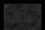 Growth - 10 Backgrounds, a Texture Graphic by GarryKillian (Thumbnail 5 of 11)