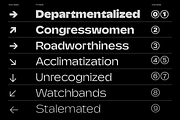 FTC Nolven Grotesk, a Sans Serif Font by Fridaytype (Thumbnail 6 of 9)