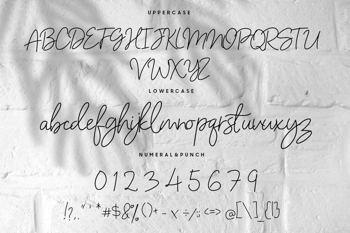 Belgina Galina Stylish Signature, a Serif Font by Beka Studio (Photo 8 of 9)