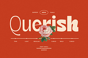 SNS - Querish, a Sans Serif Font by Sans & Sons (Thumbnail 1 of 10)