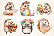 Summer Hedgehog Clipart, an Illustration by Dream Creation (Thumbnail 5 of 6)