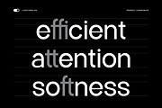 Perfect Corporate Sans Serif Family, a Sans Serif Font by Mahesans Co (Thumbnail 9 of 10)
