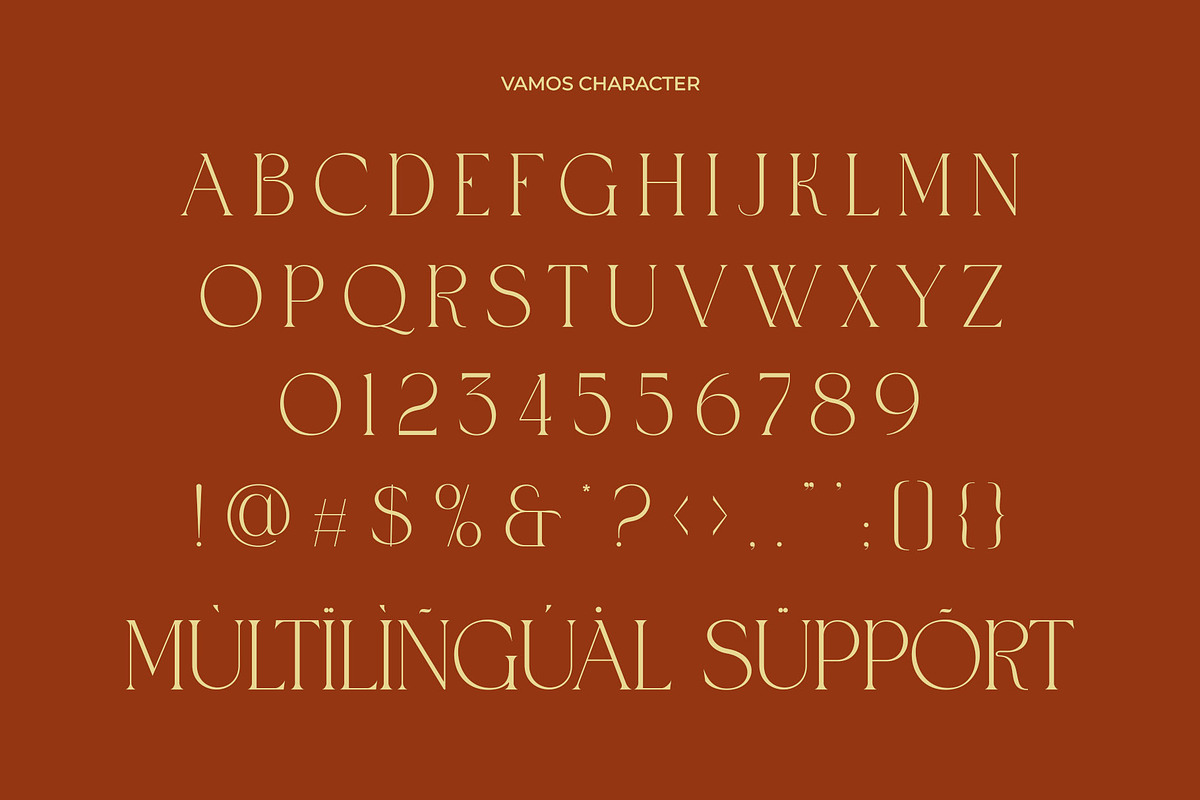 Vamos Unique Serif Typeface, a Serif Font by Alfinart (Photo 5 of 10)