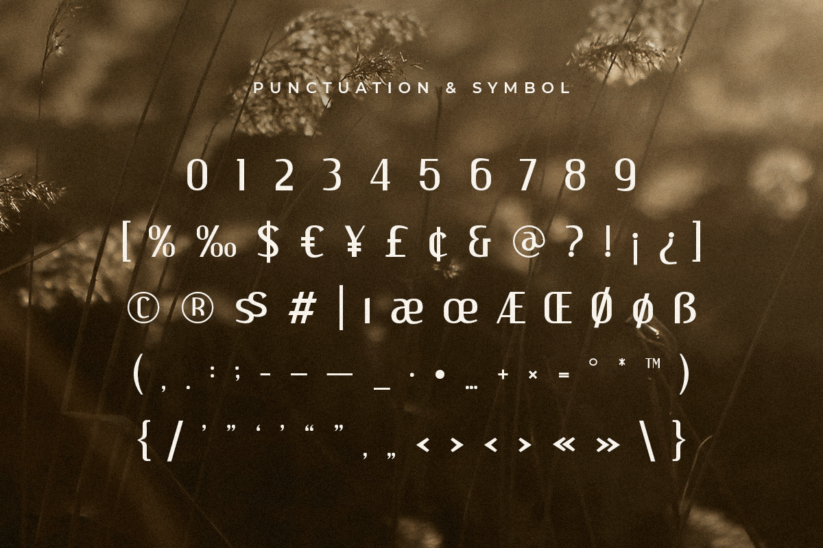 Parker - Corporate Elegant Font, a Sans Serif Font by Hamz Studio (Photo 6 of 16)