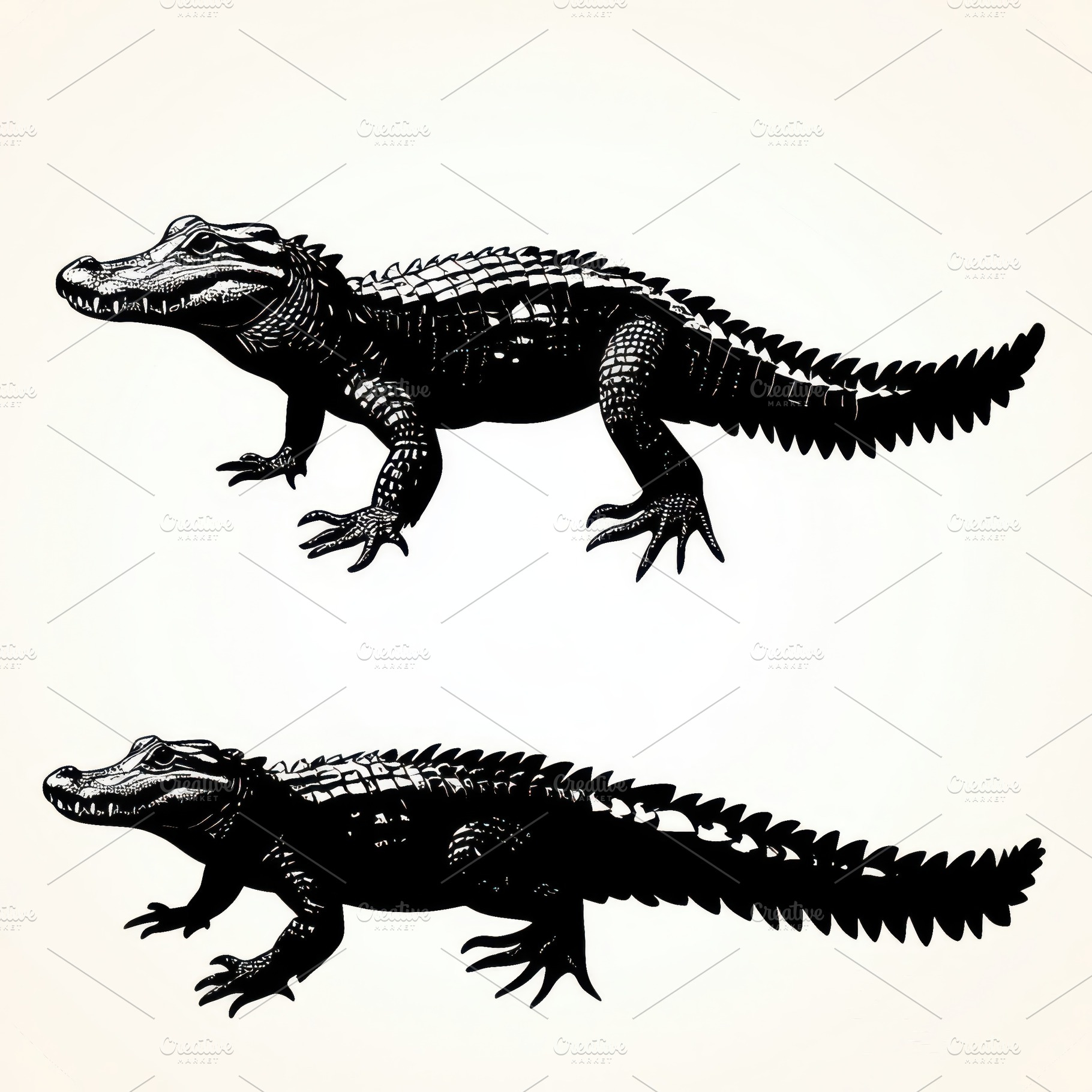 Two black alligators side profile il, an Animal Photo by Pixeness Studio
