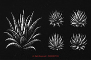 10 Bundle Dark Art Aloe Vera Cactus, an Illustration by Morspective (Thumbnail 5 of 7)