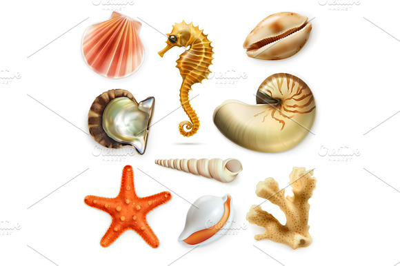 Seashells Set Seahorse Vector Icons