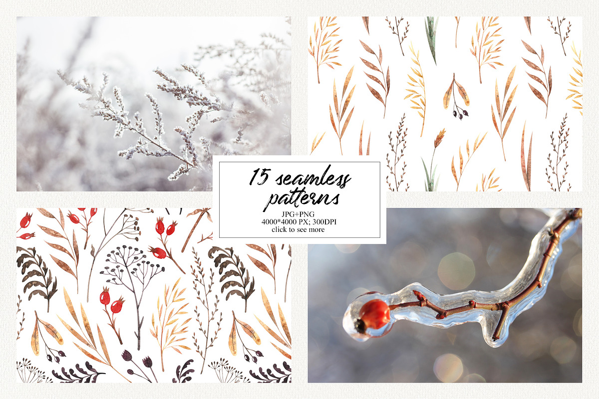 Winter dry plants, an Illustration by Natalia Fedorova (Photo 5 of 8)