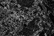 Lilliputian, a Texture Graphic by Jennifer Lauren Creative (Thumbnail 19 of 28)