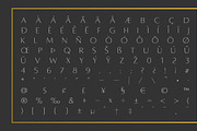 Alta Light (+ Caption), a Sans Serif Font by Aaron Amar (Thumbnail 2 of 2)