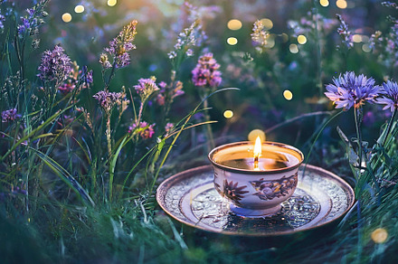 Tea with Fairies 3