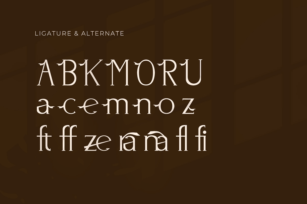 Bazena - Serif Typeface Font, a Serif Font by Rishsketch (Photo 12 of 15)