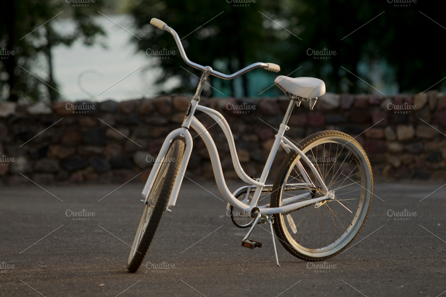 Bike Containing Bike Female And White