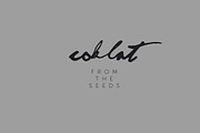 Logo template. Chocolate, an Object Graphic by ADD+ (Thumbnail 3 of 5)