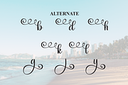 Bayside | Script Font, a Handwritten Font by Scratchones (Thumbnail 7 of 8)