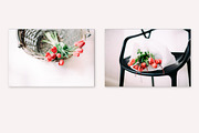 Tulips stock photo series, a Nature Photo by Nellaino (Thumbnail 6 of 6)