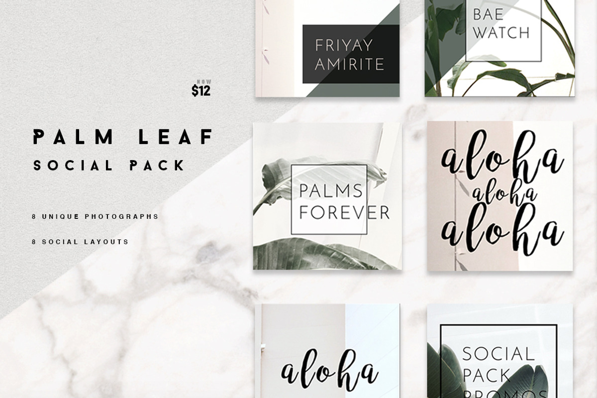 8 Pack Instagram Social Palm Layouts, a Templates & Theme by Aloha Philly (Photo 1 of 7)