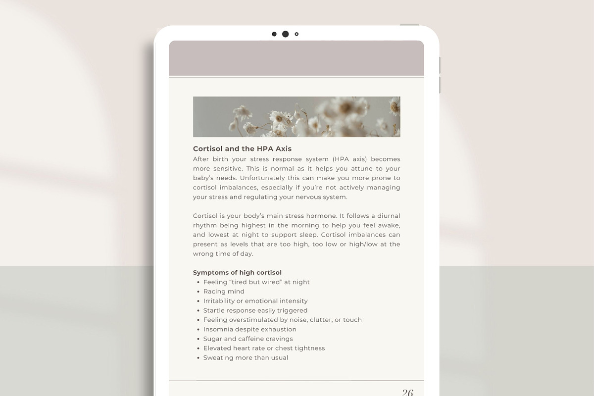 Postnatal Depletion DFY Ebook Canva, a Presentation Template by Naturopath Hub (Photo 11 of 11)
