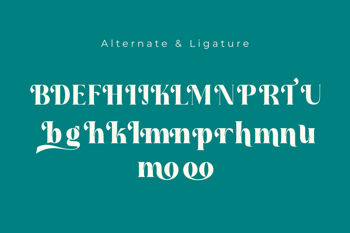 Aura Moon, a Serif Font by Zafiratype (Photo 15 of 15)