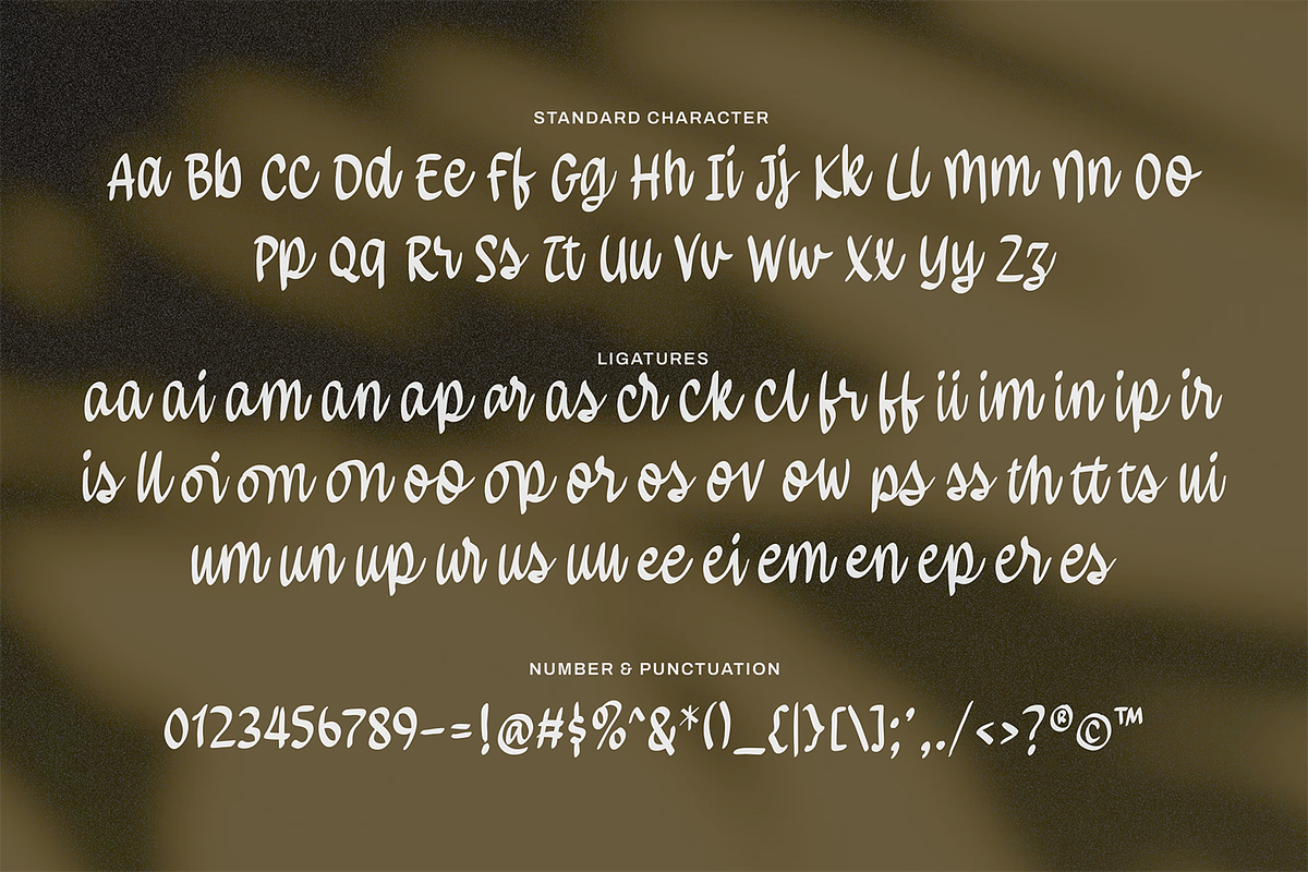 Brientsa Classic Script, a Handwritten Font by Portocraft (Photo 10 of 10)