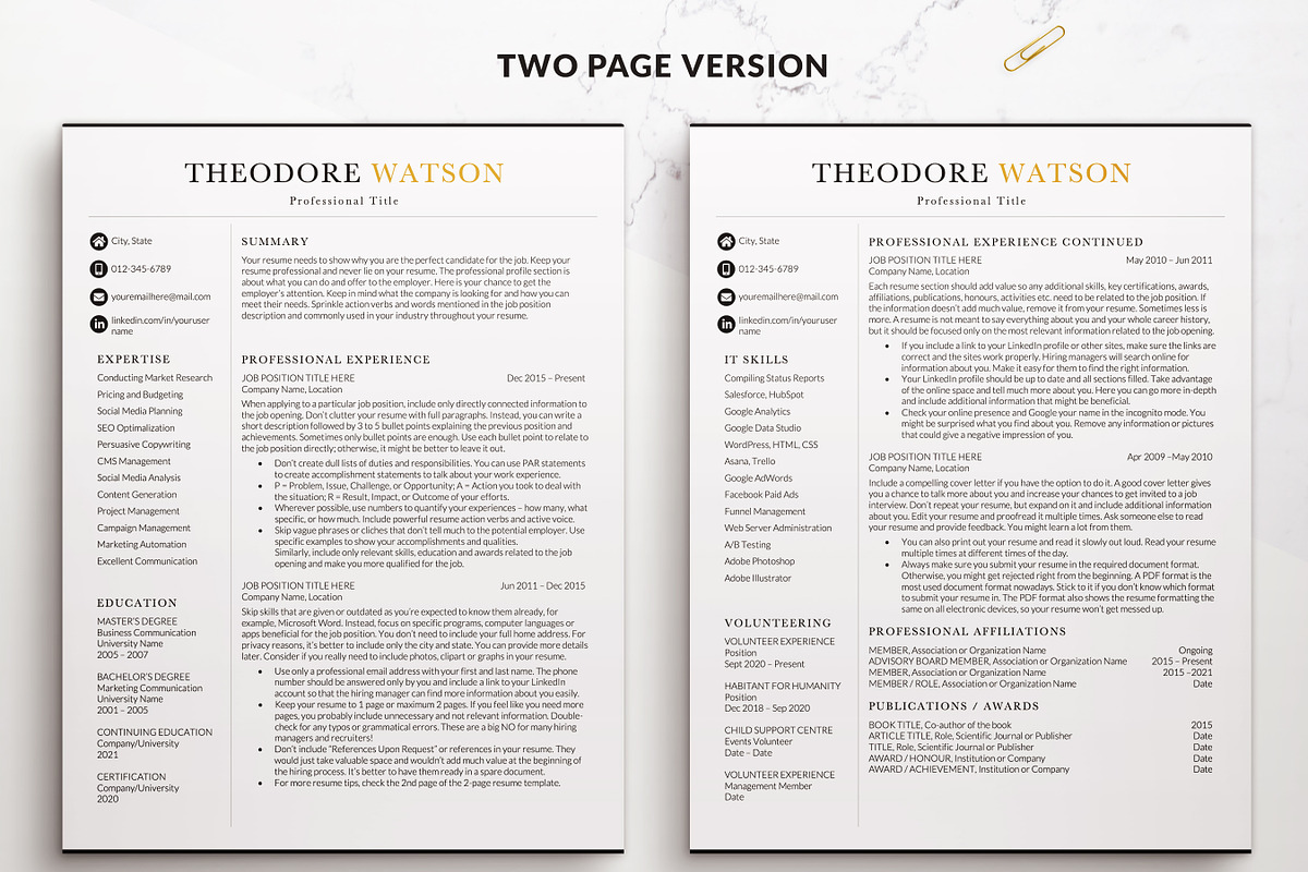 Elegant Resume CV Templates Word, a Resume Template by BestResumes.Co (Photo 2 of 9)