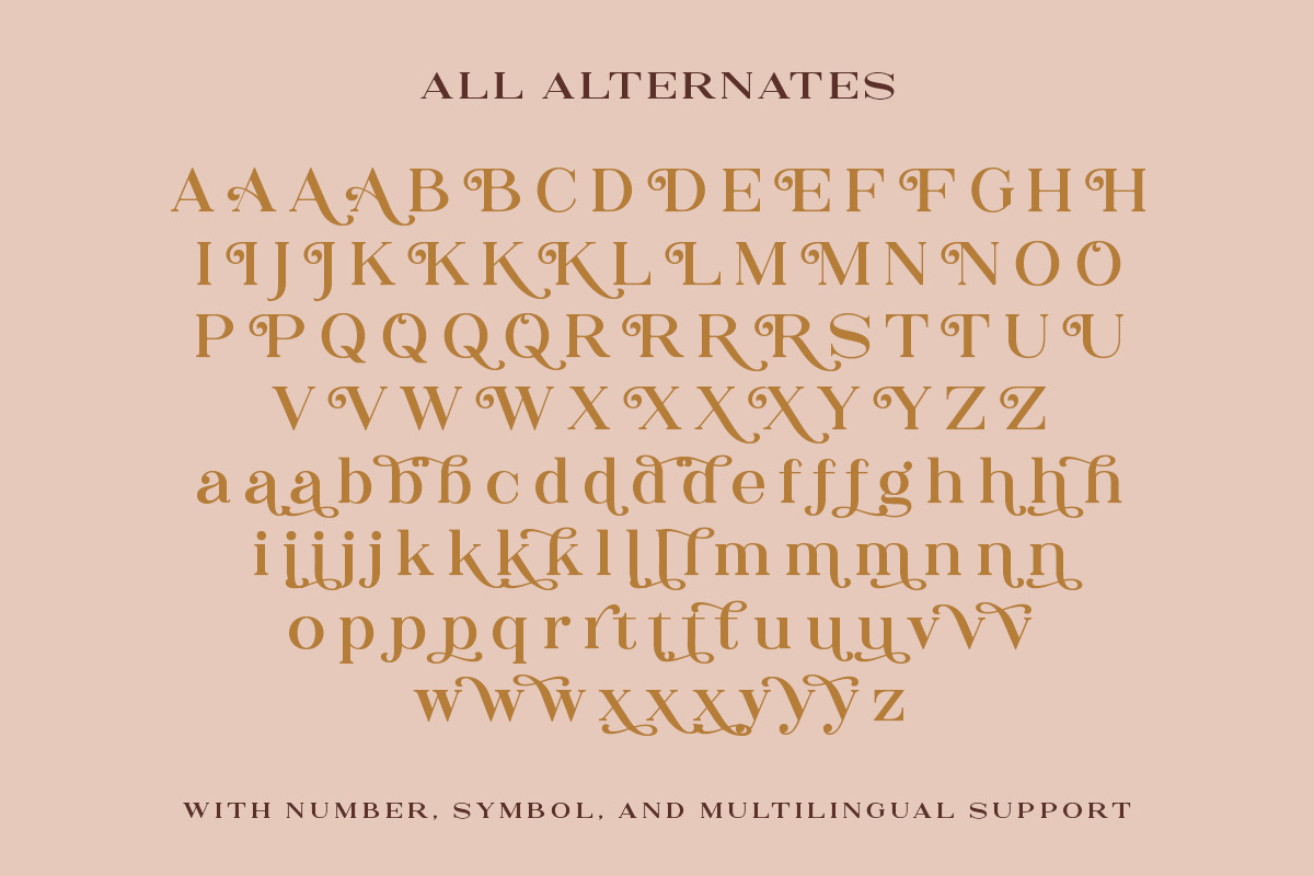 The Rankings Serif, a Serif Font by Letterhend Studio (Photo 9 of 9)