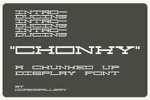 Chonky, a Serif Font by Core Gallery