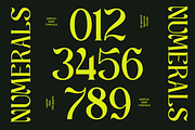 Luxury Ligature Serif Font - Churasi, a Serif Font by Font Liner (Thumbnail 9 of 10)