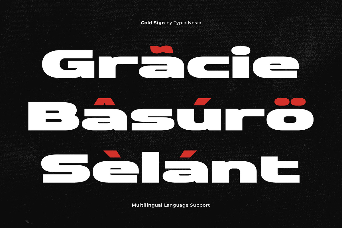 Cold Sign - Bold Expanded Sport Font, a Sans Serif Font by Typia Nesia (Photo 9 of 12)