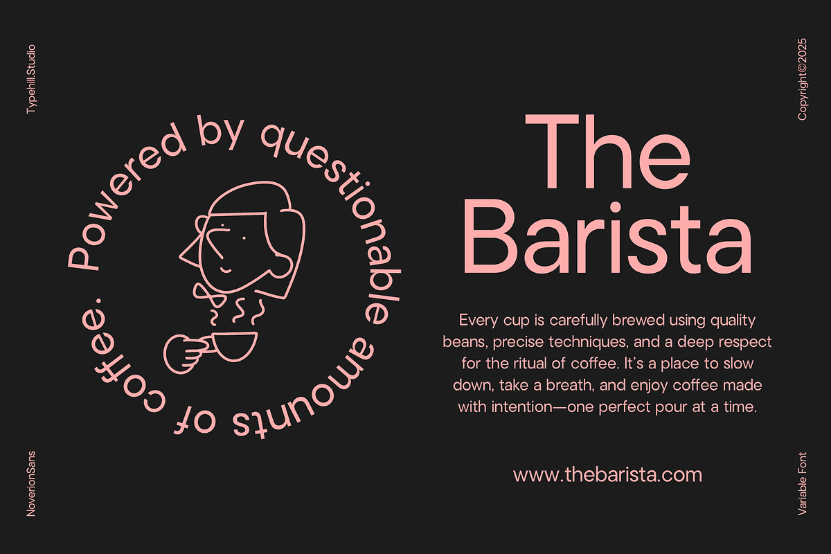 Noverion Sans, a Sans Serif Font by Typehill (Photo 9 of 15)