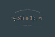 Lovalina - Elegant Serif Font Family, a Serif Font by Craft Supply Co. (Thumbnail 11 of 15)