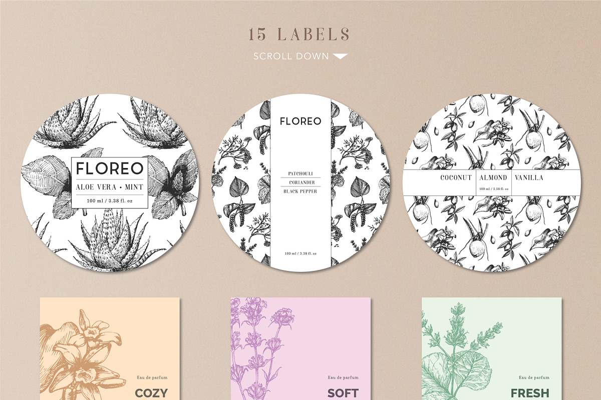 Herbs, spices, nuts & fruits. Bundle, a Food Illustration by Chewie Co (Photo 3 of 15)
