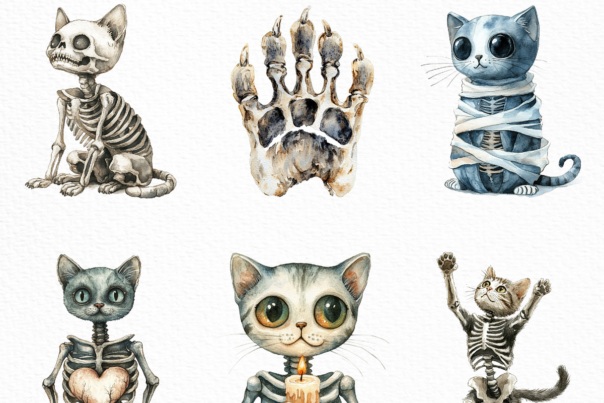 Halloween Skeleton Cat Clipart, an Illustration by Craft Nest (Photo 3 of 6)