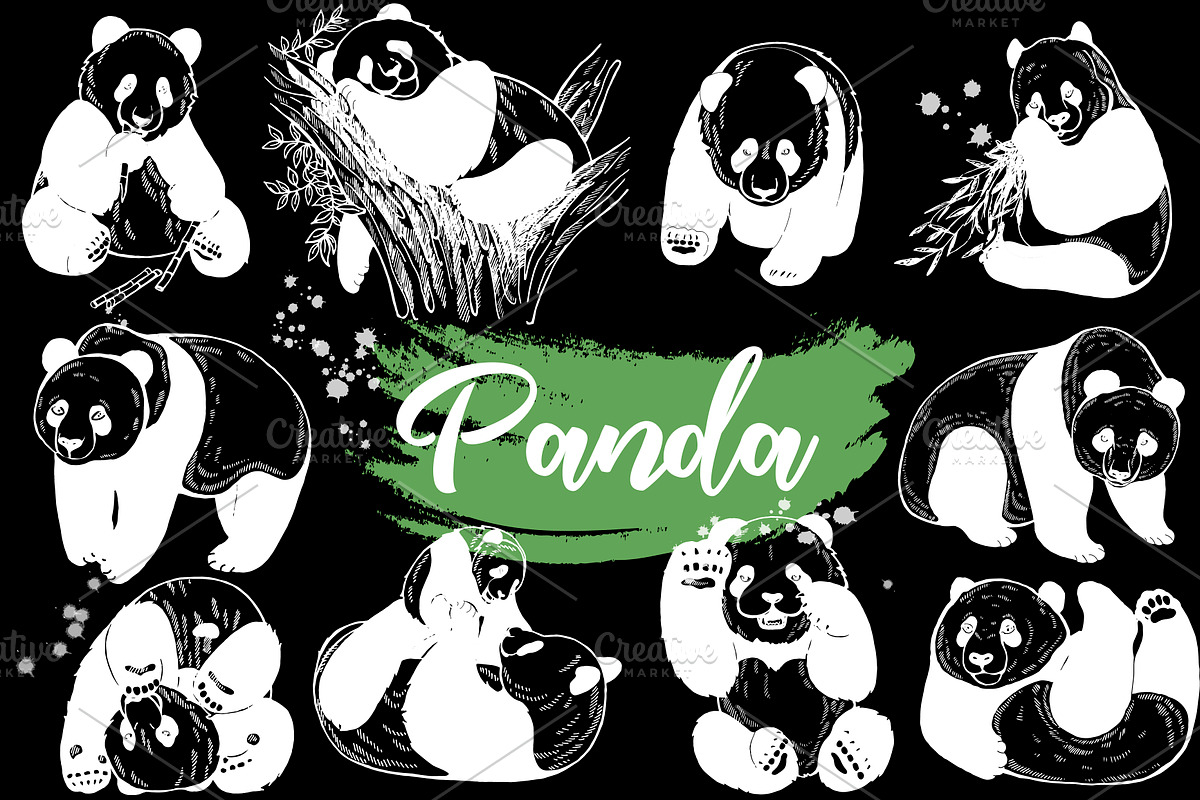 Panda, an Animal Illustration by Ecaterina Sciuchina (Photo 2 of 6)